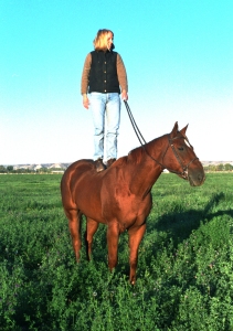 My horse Charles
